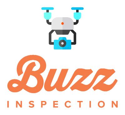 Buzz Inspection