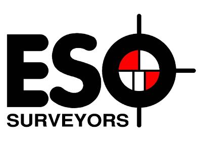 ESO Surveyors