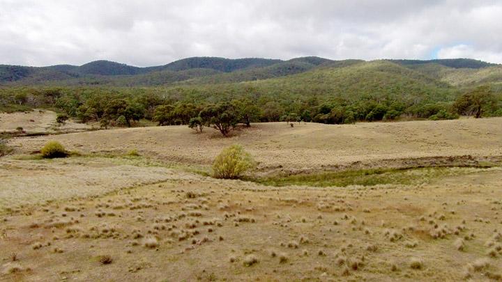 Mount Burra Land For Sale