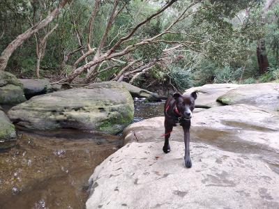 Knights bridge studio