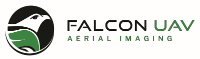 Falcon UAV
