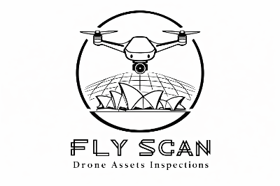 Fly Scan