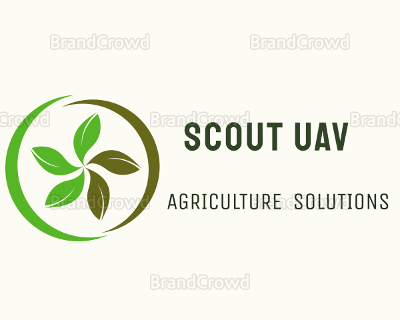 Scout UAV