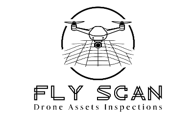 Fly Scan