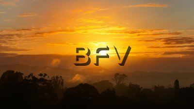 BFV Media