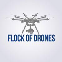 Flock of Drones