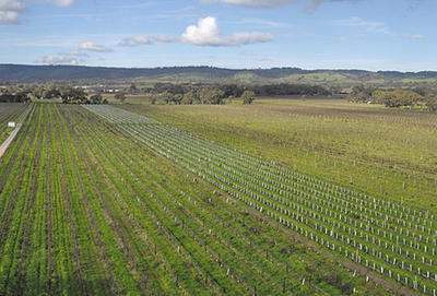 Aerial Photography Specialists