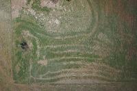 Spatial Technologies Pty ltd