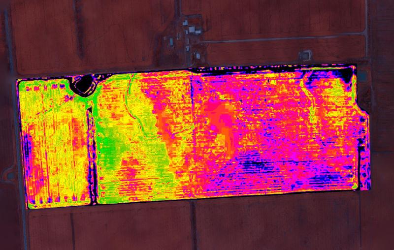 Aerial photography, drone photography by Falcon UAV