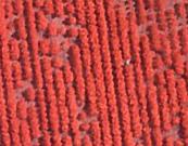 Aerial photography, drone photography by Falcon UAV