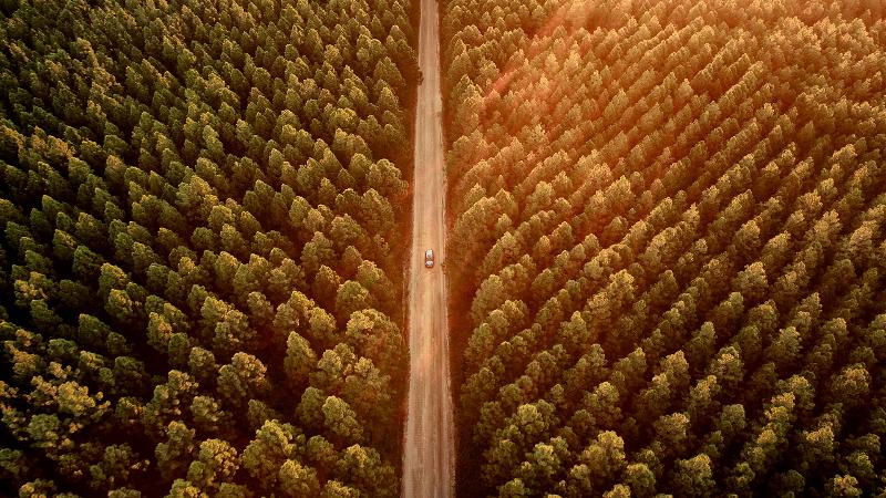 Aerial photography, drone photography by FLYFILM