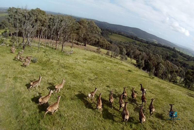 Aerial photography, drone photography by 3FB Aerworx