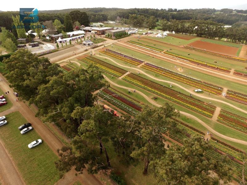 Aerial photography, drone photography by 3FB Aerworx