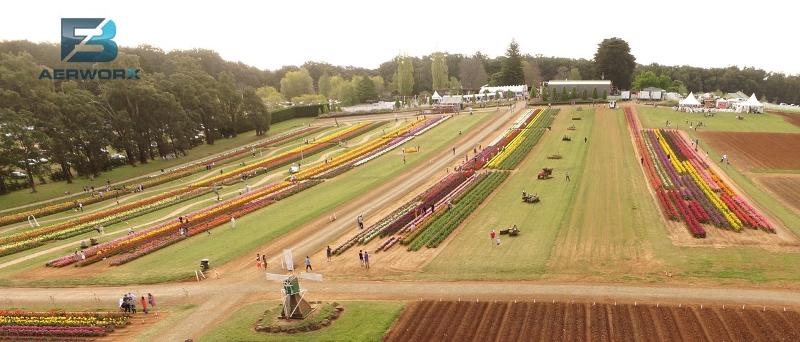 Aerial photography, drone photography by 3FB Aerworx