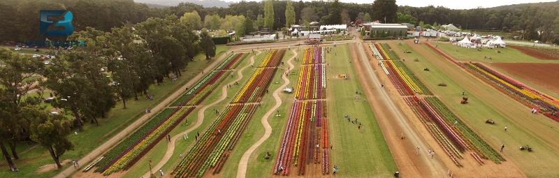 Aerial photography, drone photography by 3FB Aerworx