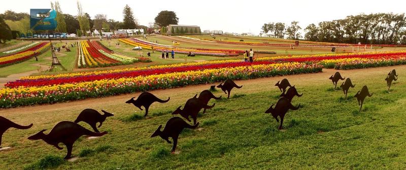 Aerial photography, drone photography by 3FB Aerworx