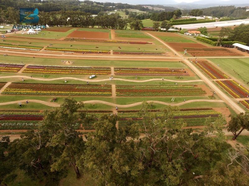 Aerial photography, drone photography by 3FB Aerworx