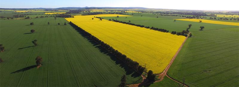 Aerial photography, drone photography by AgVantage UAV Pty Ltd