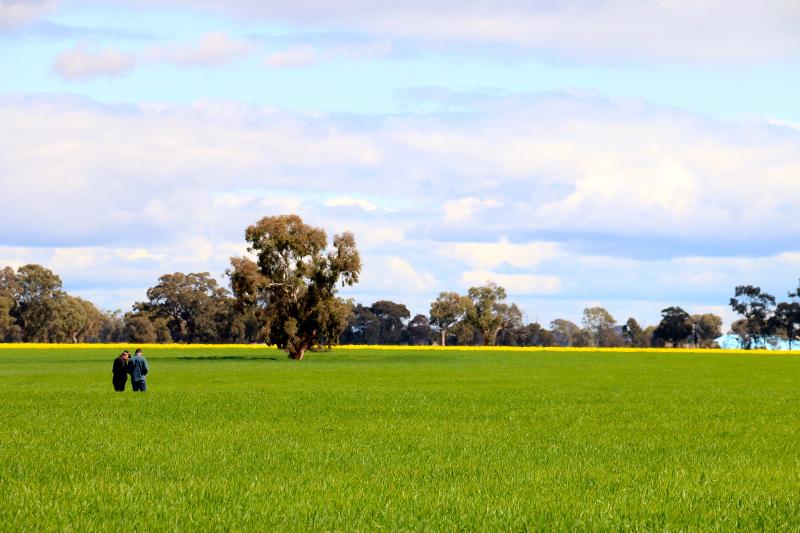 Aerial photography, drone photography by AgVantage UAV Pty Ltd