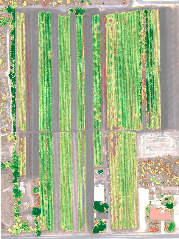 Aerial photography, drone photography by Global Unmanned Systems Lty Ltd