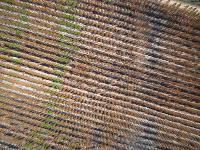 Scout Aerial Media and Surveying 