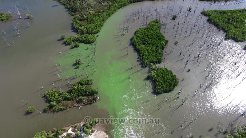 Aerial photography, drone photography by UAView