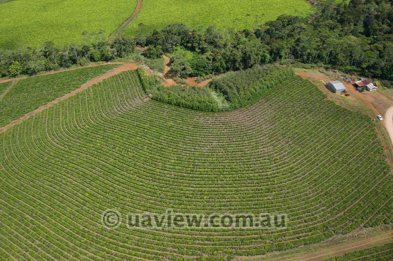 Aerial photography, drone photography by UAView