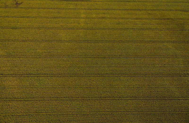 Aerial photography, drone photography by Source Media
