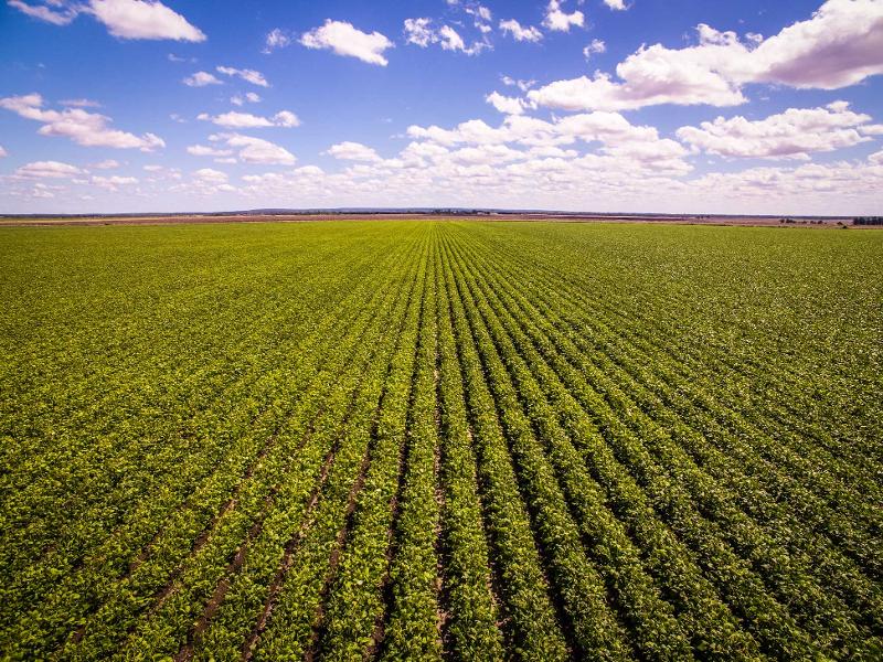 Aerial photography, drone photography by Source Media