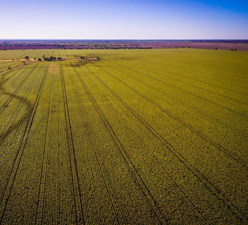 Aerial photography, drone photography by Source Media