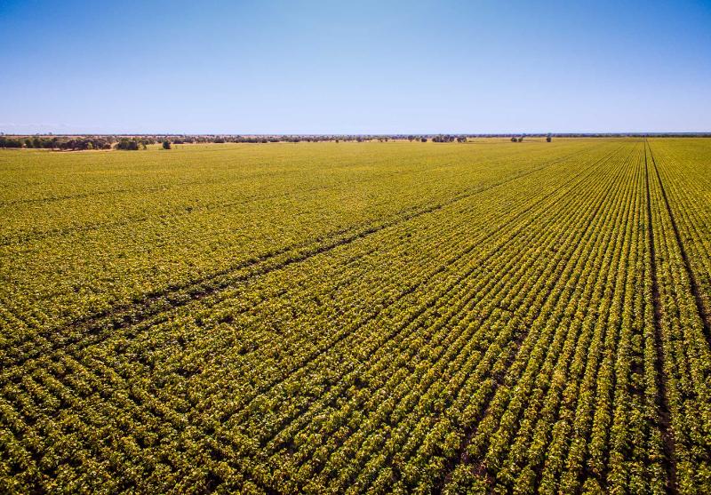 Aerial photography, drone photography by Source Media