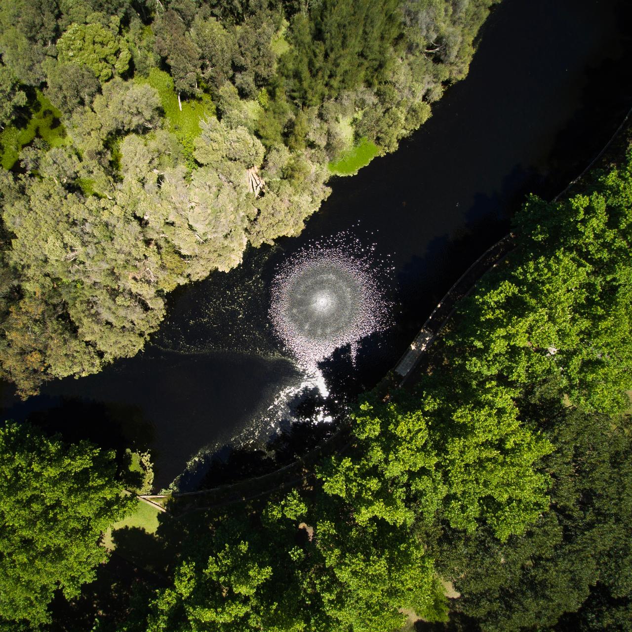 Aerial photography, drone photography by Vista Image