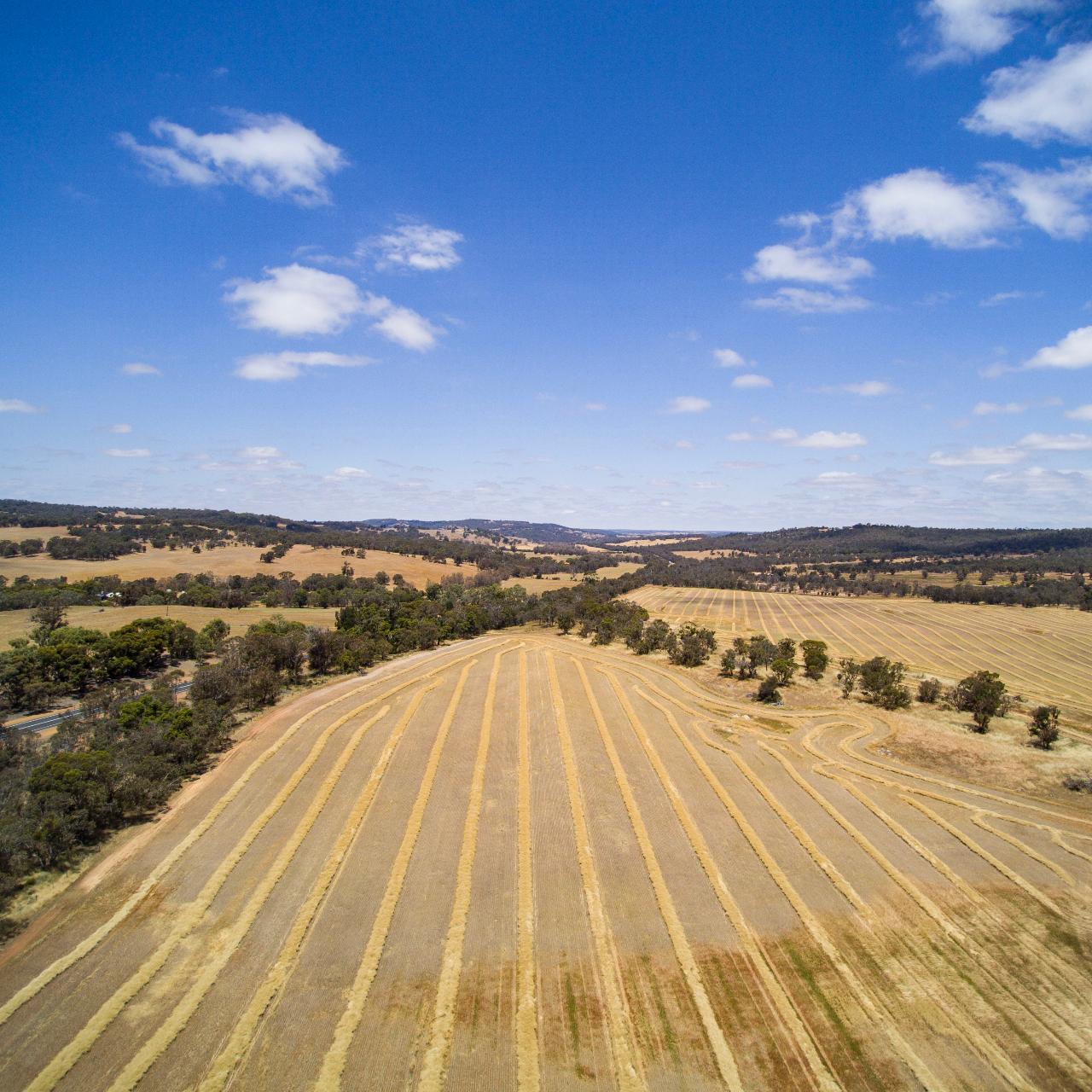 Aerial photography, drone photography by Vista Image