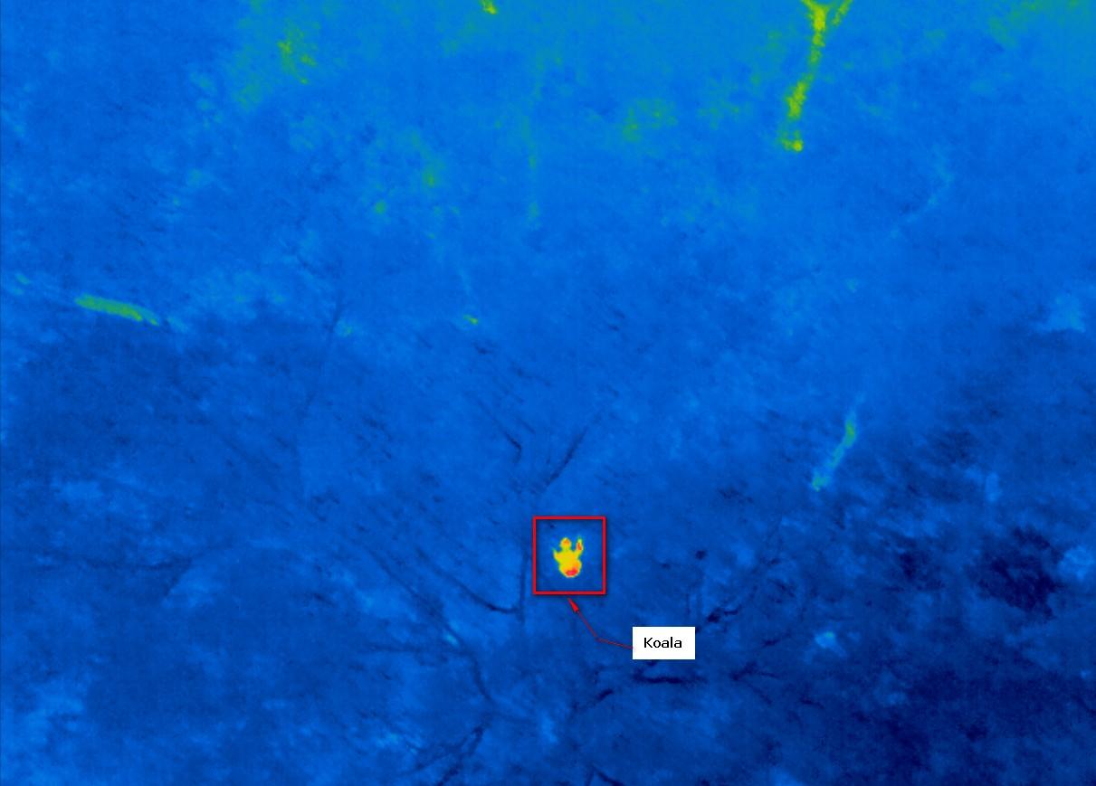 Aerial photography, drone photography by Saunders Havill Group Pty Ltd