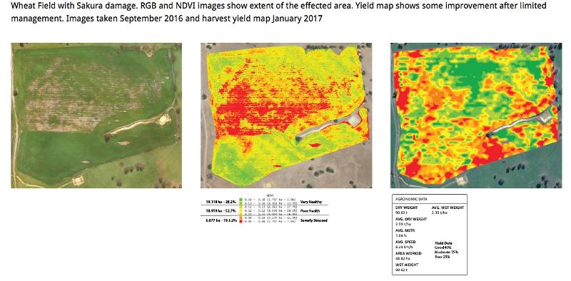 Aerial photography, drone photography by Stratus Imaging