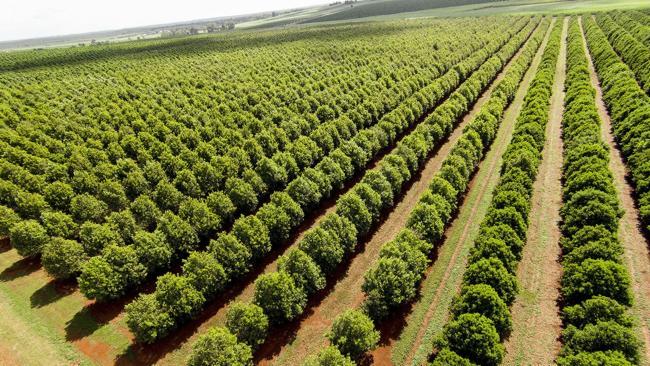 Aerial photography, drone photography by Queensland Drones