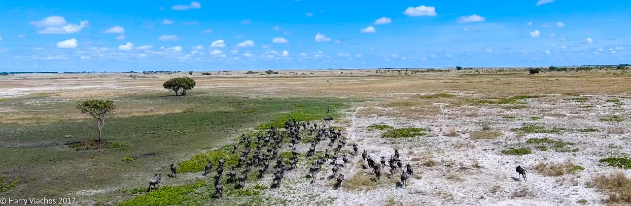 Aerial photography, drone photography by Bwana Jimmy