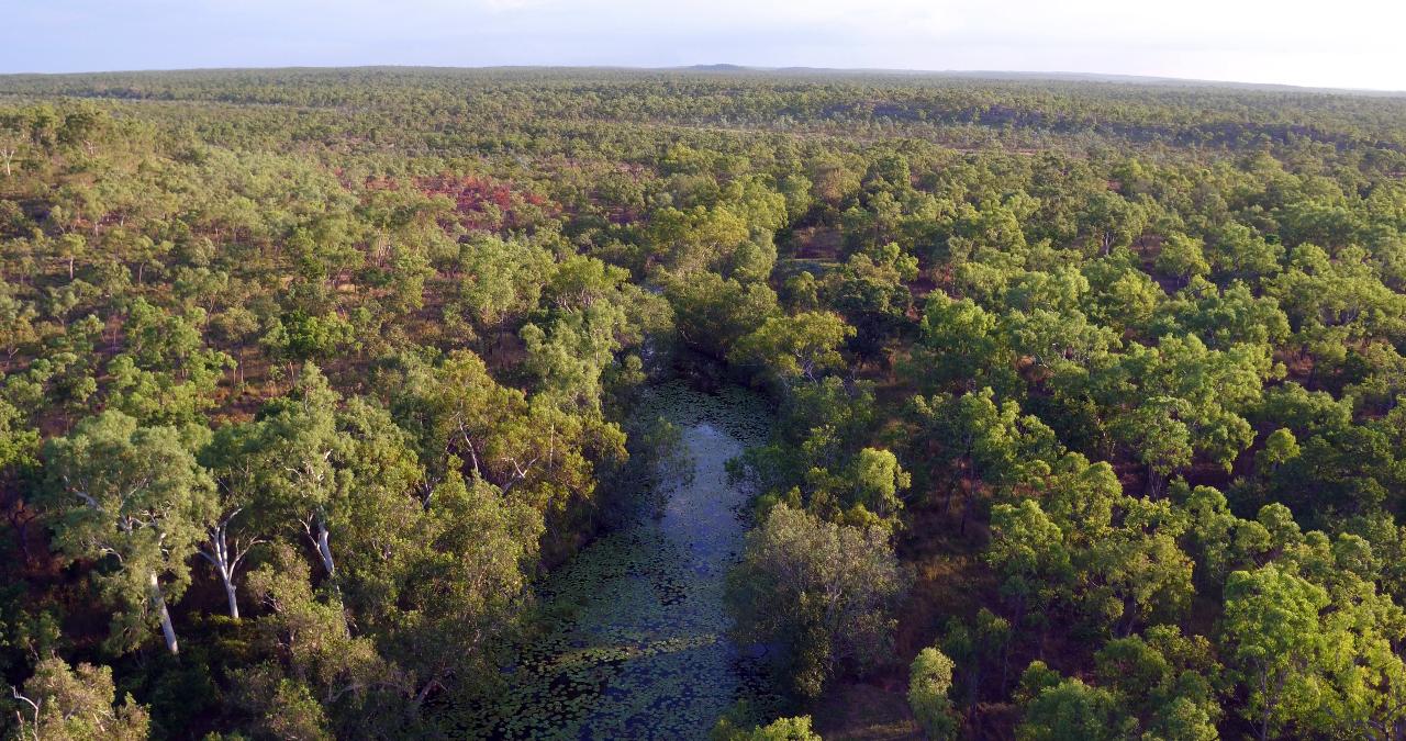 Aerial photography, drone photography by Moriarty Aerials