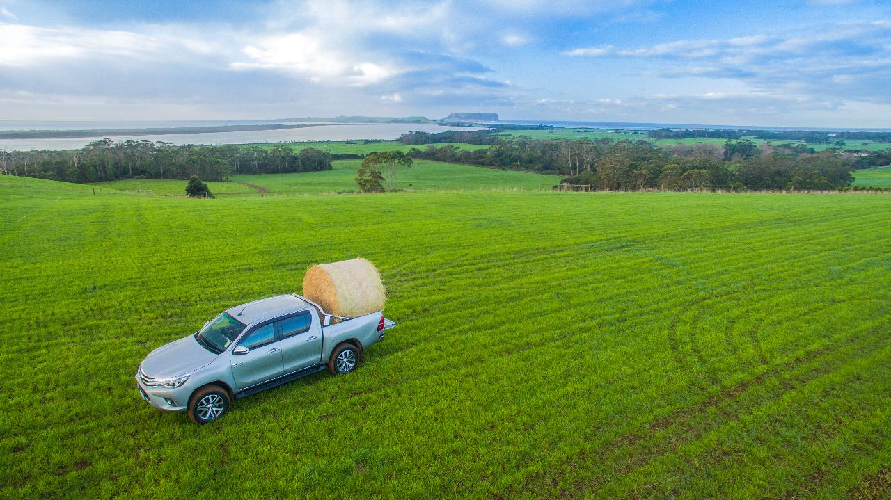 Aerial photography, drone photography by Prime Perspectives