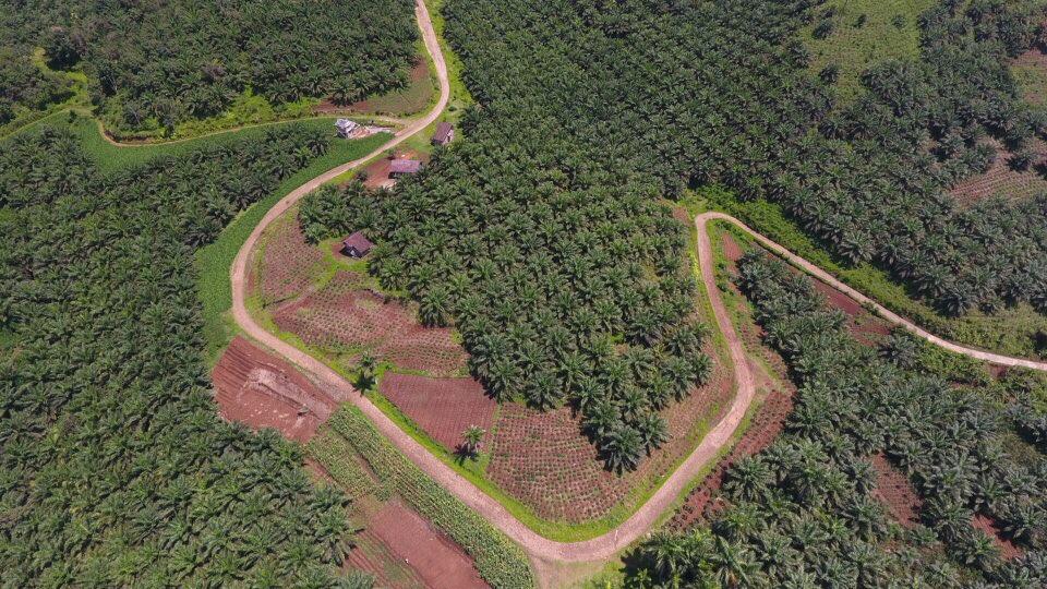 Aerial photography, drone photography by SWIFT AERIAL IMAGERY