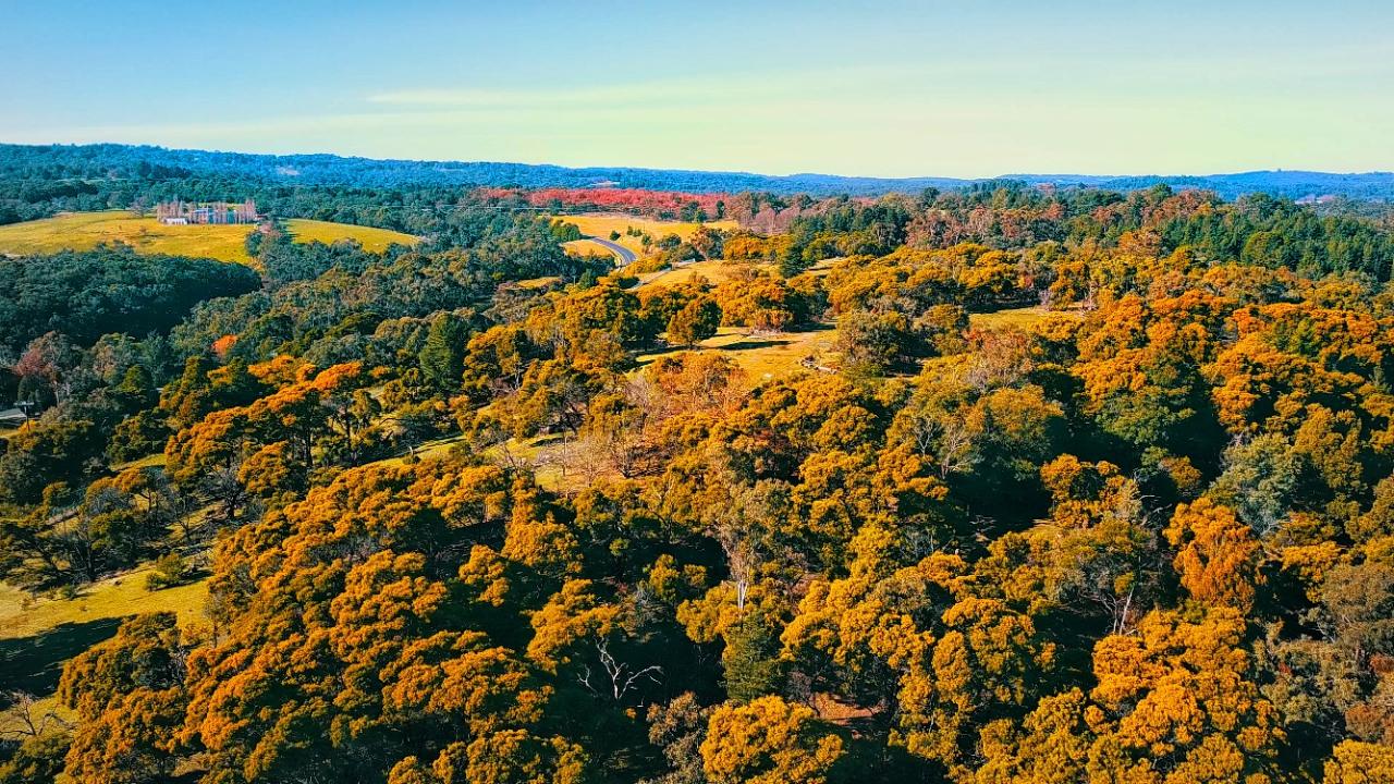 Aerial photography, drone photography by Drone Workx