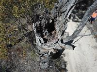 New England Avionics