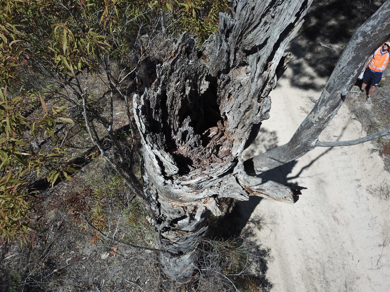 Aerial photography, drone photography by New England Avionics