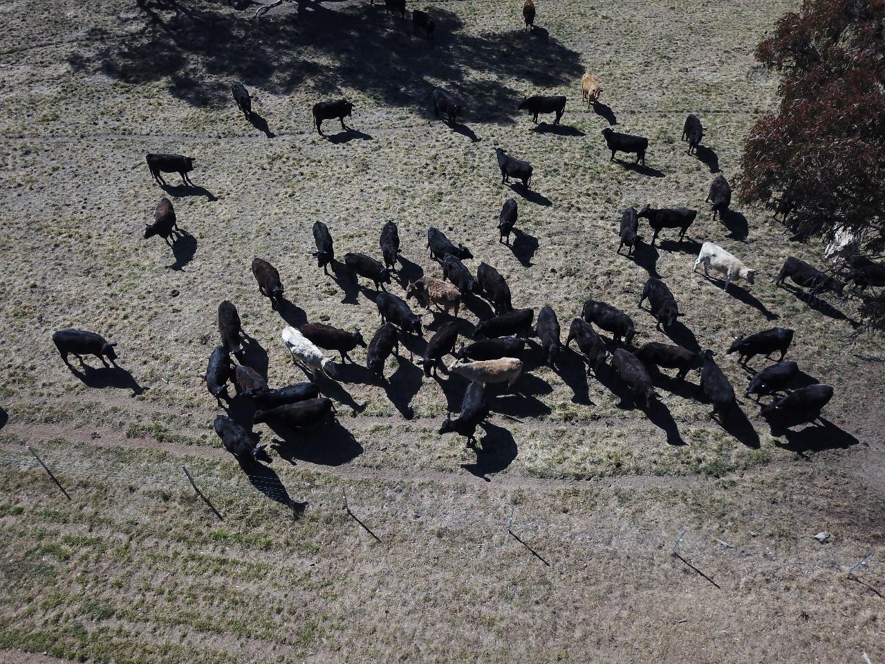 Aerial photography, drone photography by New England Avionics