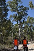 New England Avionics