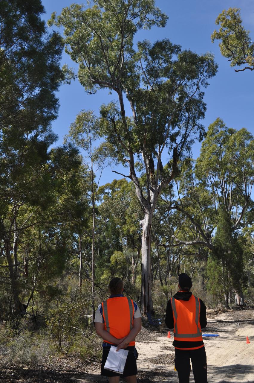 Aerial photography, drone photography by New England Avionics