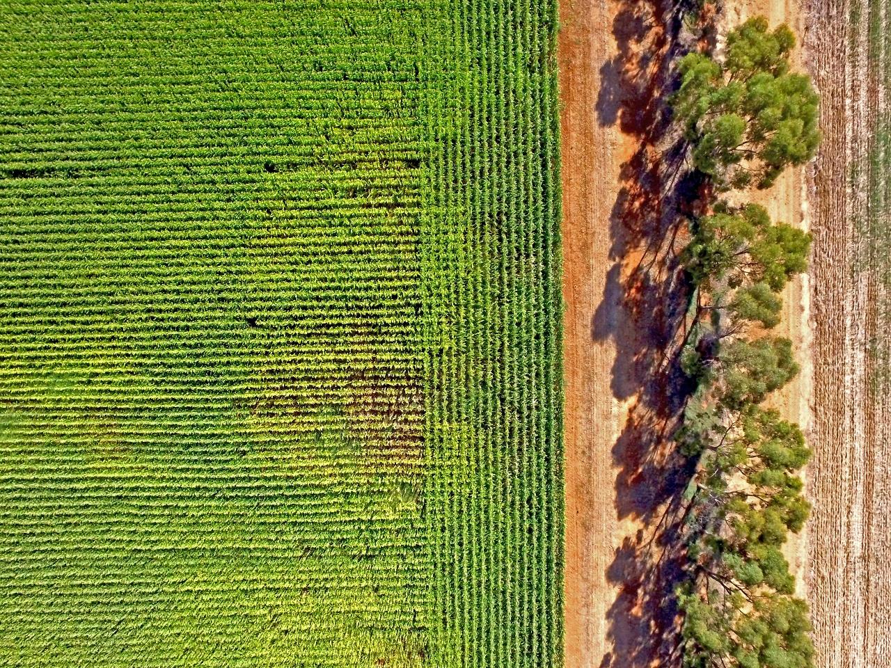 Aerial photography, drone photography by AUE Imagery