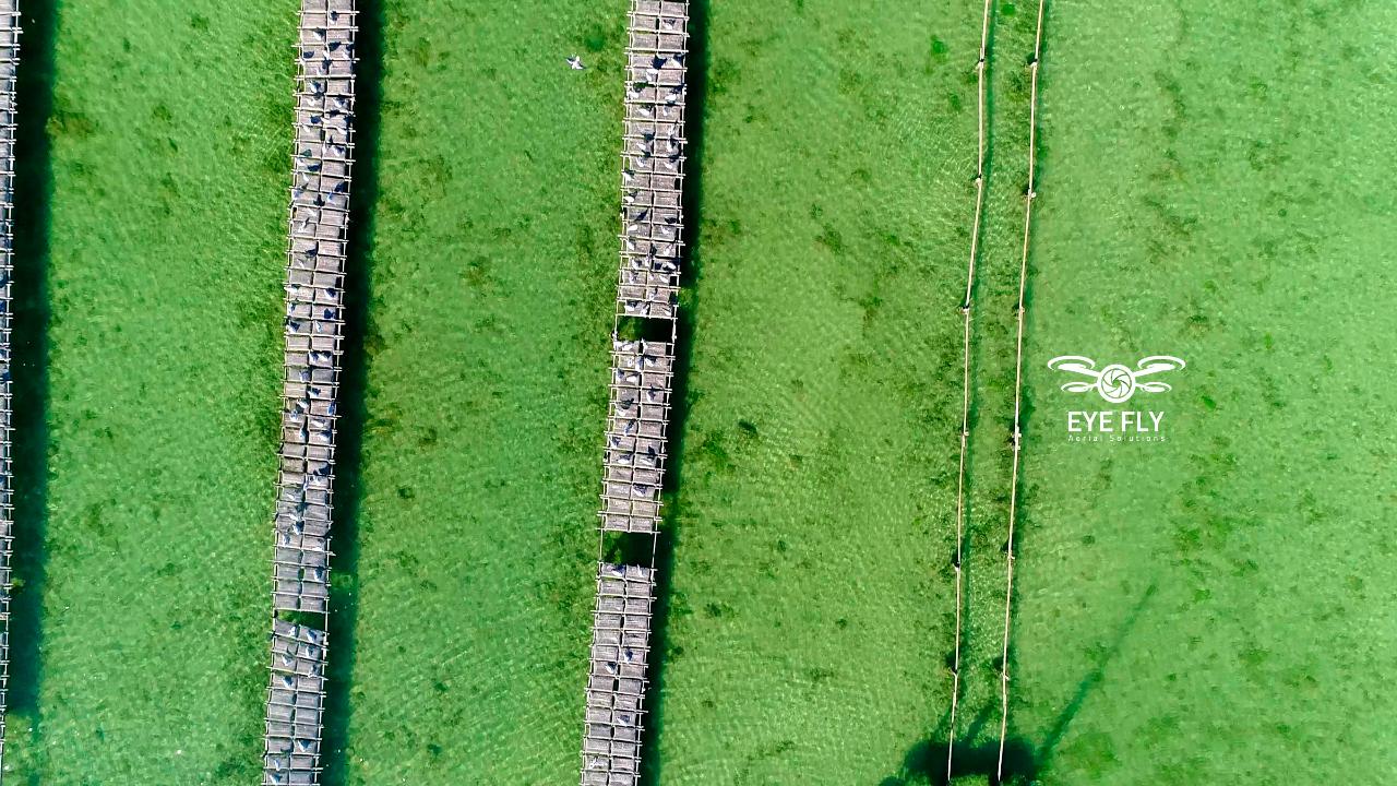 Aerial photography, drone photography by Eye Fly Drones