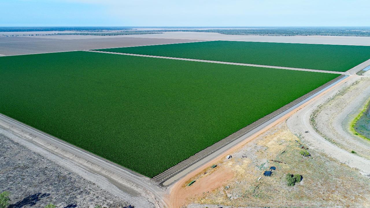 Aerial photography, drone photography by Pureapogee