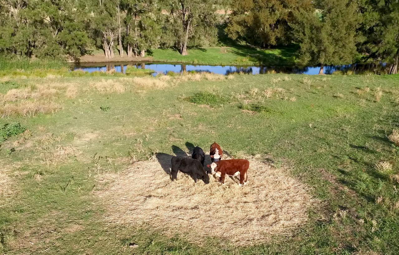 Aerial photography, drone photography by Data Sense Aeromedia